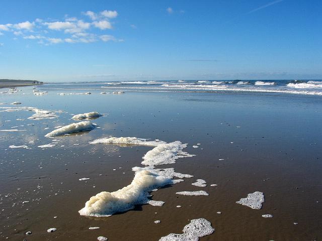 042 Texel.jpg